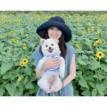 Rina Aizawa Instagram - 昨日、31歳になりました。 1年間あっという間ですね…‼︎ 30歳のうちにグラビアをまたやらせていただいたことは私にとってとても良い経験になりました。 そしてドラマ「強行犯係樋口顕」もOA中ですので、引き続きよろしくお願い致します😊 皆さんのコメントにいつも元気をいただいています🌻 ありがとうございます💗 今年も犬ちゃんと平和に過ごしていきます🐶🤍笑
