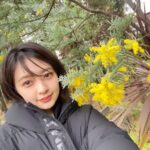 Rina Aizawa Instagram - ロケ現場に🌼🌼 綺麗に咲いていたので沢山写真撮っちゃいました~‼︎