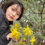 Rina Aizawa Instagram - ロケ現場に🌼🌼 綺麗に咲いていたので沢山写真撮っちゃいました~‼︎