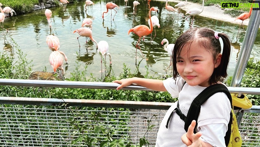 Ririsa Miyazaki Instagram - オフショット📷 動物園🐅 #ばらかもん #琴石なる役 #初めてポニーに乗りました