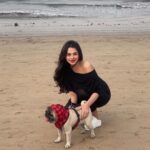 Ritika Badiani Instagram - Ending the year like this with My Richy Baby ♥️🧿 Thank You #2023 🫶🏻 #RitsBadiani #RitikaBadiani #Richy #Reels #Trending #YearEnd #DayOut #Beach #Pet #Dog #Pug #FunDay #Goodbye2023