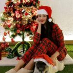 Ritika Badiani Instagram - We Wish You A Merry Christmas 🎄🎁❤️ #RitsBadiani #RitikaBadiani #Richy #MerryChristmas #ChristmasTree #Dog #Santa