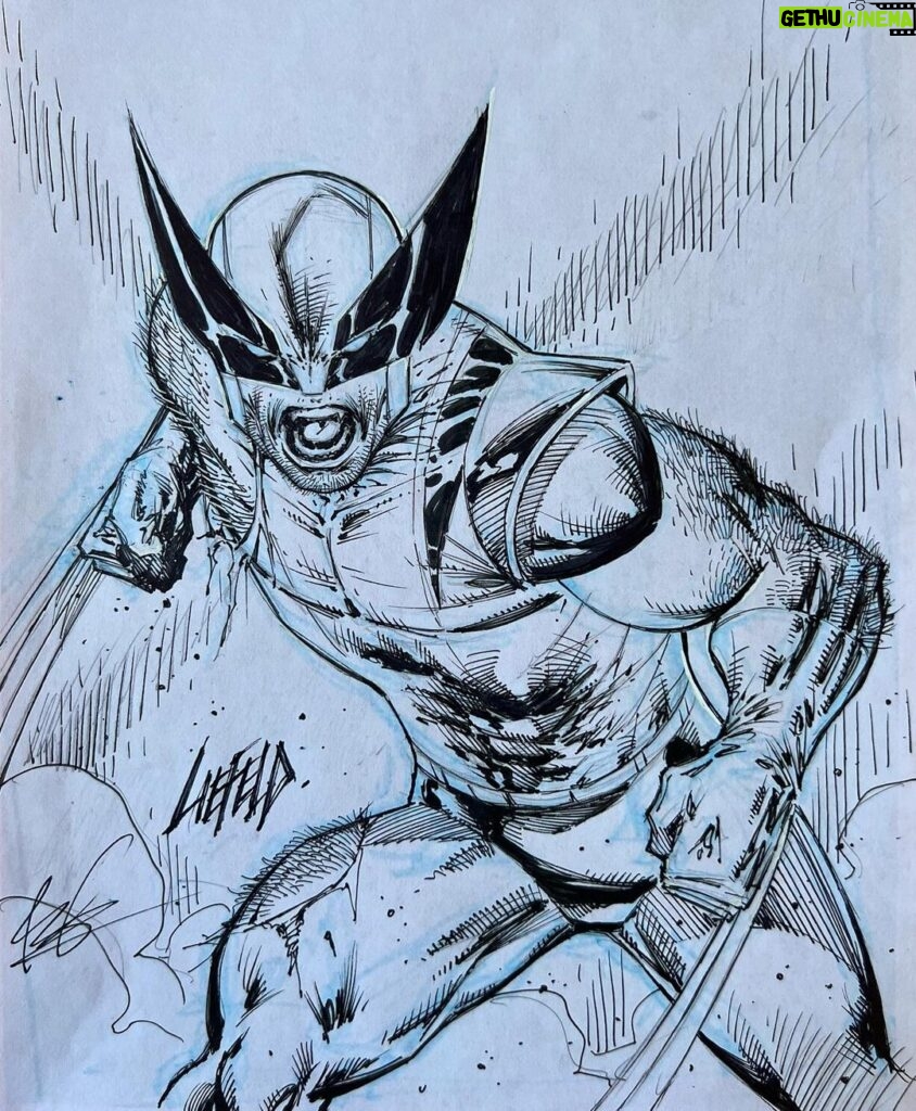 Rob Liefeld Instagram - Wolverine! Fan’s Choice, ROBTOBER. You guys voted and it wasn’t close, an avalanche across my socials. Thx all! #wolverine #xmen #marvel #robliefeld