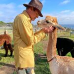 Robert Downey Jr. Instagram - We're always creating strong bonds with our animals, old and new. Tell us about yours, and watch #TheBond now on @discoveryplus