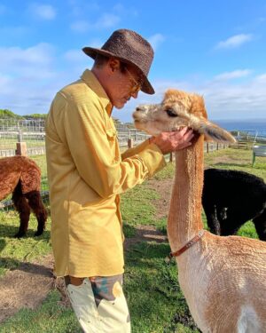 Robert Downey Jr. Instagram - We're always creating strong bonds with our animals, old and new. Tell us about yours, and watch #TheBond now on @discoveryplus