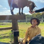 Robert Downey Jr. Instagram - We're always creating strong bonds with our animals, old and new. Tell us about yours, and watch #TheBond now on @discoveryplus