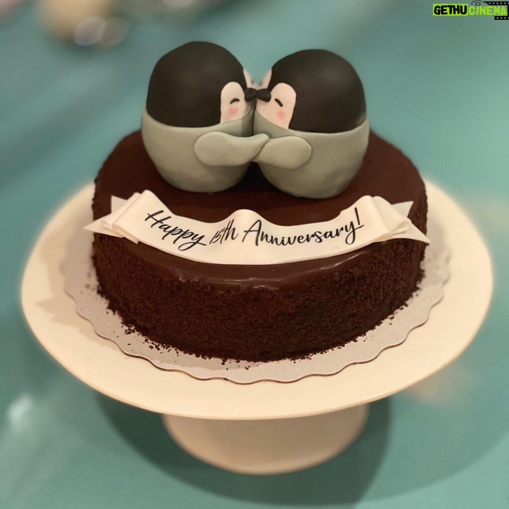 Robert Downey Jr. Instagram - Today I salute my female emperor penguin partner who has laid a single egg twice and changed my life 3 times... Here’s to the next #15 seasons of re-pairing... #passionate #penguins #teamdowney #thankyou @trudiestyler & @theofficialsting for the #fabulous #empirecakes