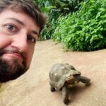 Robin Blase Instagram – Werbung – Die Highlights aus dem Urlaub. Wir waren in Lissabon und Barcelona, es war wunderschön ❤️. Es gab Strand, es gab vegane Pastel de Nata, es gab Drinks aus einer Ananas, es gab Eis, Kokosnuss, es gab Selfies mit Schildkröten, und es gab mich immer mit dem Rucksack vor der Brust, damit ich nicht beklaut werde. Immer auf Reisen mit dabei: Die @sparkasse Kreditkarte Gold. Ich fühle mich da sicherer mit dem Reiseversicherungspaket, dem Reisenotfall-Service, dem Bargeld-Notfallservice und und und. Eine meiner größten Sorgen ist, in einem fremden Land ohne irgendwas dazustehen – weil ich auch Leute kennen, denen genau das passiert ist. Fun Fact: Man kann wohl in der Botschaft keinen Ersatzausweis kriegen, ohne rund 20€ dabei zu haben 😃 – ist Geld und Ausweis weg, wird’s schwieriger. 
Also Kreditkarte Gold & der Rucksacktrick und dann fühl ich mich sicher 😃
#kreditkartegold #Sparkasse #banking #sicherreisen