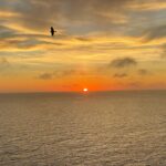 Robin Leutner Instagram - Mallorca, du bist einfach immer mega geil! Wer denkt du seist nur Sauftourismus, der kennt dich nicht. ♥️ 🏝️ 🌞 #mallorca #sunset #urlaub