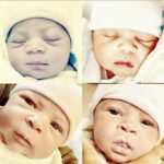 Rockmond Dunbar Instagram - My four babies...LFT to RT Berkeley, Czar, Pharaoh and Sultan.... I absolutely LOVE being a father...Happy Father’s Day!