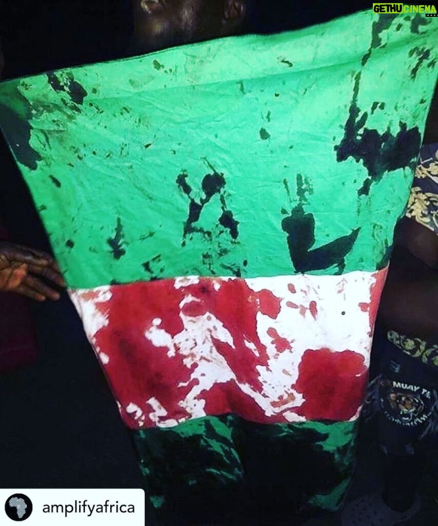 Rockmond Dunbar Instagram - Posted @withregram • @amplifyafrica REPOST @forafricans “I am Nigerian. I can not standby and watch my people die helplessly and we continue to post on here like everything is okay. No it is not okay. Today 10/20/2020 Peaceful protesters are being shot at by military forces (Look this up #ENDSARS) They are killing us. This is the blood of an innocent civilian on the Nigerian flag. They are taking lives as we speak. This will not stand. I am personally asking for everyone who follows us and support us to support this movement. Please share using the hashtag and raise awareness to the senseless killings and brutality being dealt out to the people at the frontlines. This is a massacre. My heart is bleeding for the lost lives. How many more people have to die for the government to do something about police brutality. The very thing we are protesting against, they are using to shut us up. Make it make sense!!!! #endsars #endsarsnow #endpolicebrutality” Signed: @chika.okoli We are aligned. #EndPoliceBrutalityinNigeria