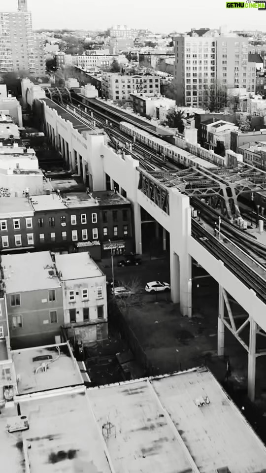 Rockwilder Instagram - WE PRESENT TO YOU.... Call The Dogs THE EP, FEAT...@dayoungfellaz x @rockwildermusic on all DSP’s 🗽 @empire @newrichent 🎥: @stevedollas #linkintheirbio #rockwilder #hiphop #rap #artist #beats