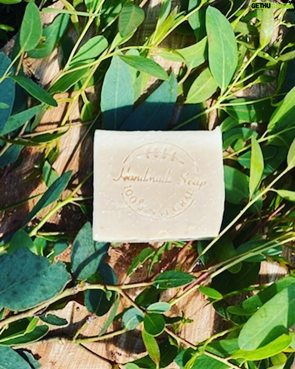 Rodger Corser Instagram - No time for gift shopping? I hear ya! That’s why I’ve been getting my very talented sis-in-law @missmooshop to set me up with gift boxes and hampers for years. Perfectly presented with wow factor to boot. Handmade all natural soaps (face/body/hair/shave/pet/household) and other goodies made on the farm in the Southern Highlands with a whole lotta love! Check out @missmooshop ….it’s almost too easy to win at gift giving 😉🎄🎅🏼 #naturalproducts #organicproducts #southernhighlands #naturalsoap #localbusiness #gifthamper #christmas