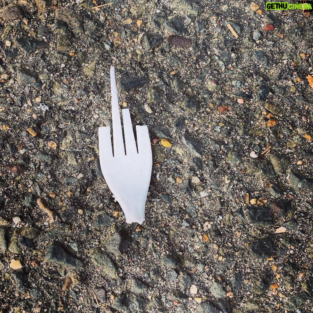 Rodger Corser Instagram - Is this a sign?? #forkit and swallow..I mean follow your dreams? Or just #forkyoutoo