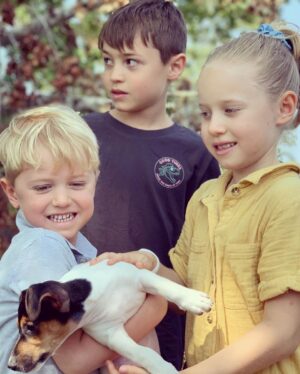 Rodger Corser Instagram - Meet “Eddie”, the newest member of our family.  We did say no more kids a few years back...but we had to make an exception for this little guy.
Thanks to our great friend Simmy @wanderingozzie_ who hosted us at her place in Coffs and help twist my arm to adopt the brother of their newest addition “Kevin”. Looking forward to reuniting our Jack Russell x Dachshund brothers, Ed & Kev very soon!! #puppylove🐶 #jackweenie #jackshund #ithoughtwewerepasttoilettraining #obviouslynot