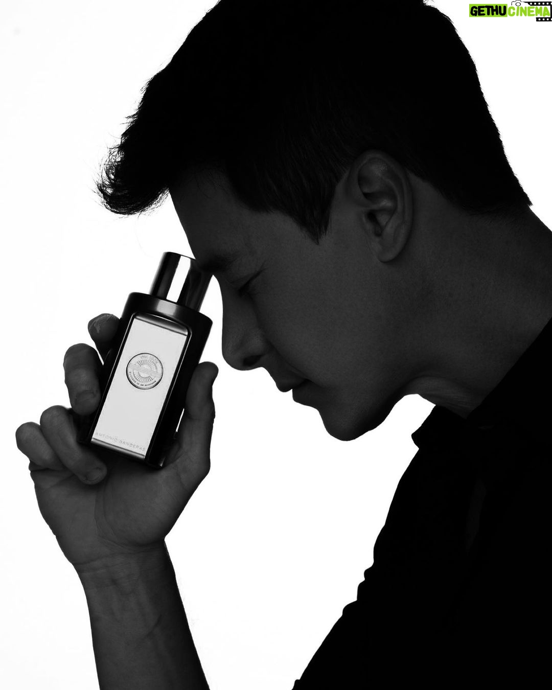 Rodrigo Faro Instagram - Para representar o homem icônico moderno, intenso e que confia em si, @antoniobanderas traz essa nova fragrância incrível. The Icon Elixir está pra lá de chique e é uma ótima opção de presente para o dia dos pais. Mostrei um pouquinho mais nos stories, corre lá e clique no link pra garantir esse super perfume! 😉 #TheIconAttitude #BanderasPerfumes #publicidade