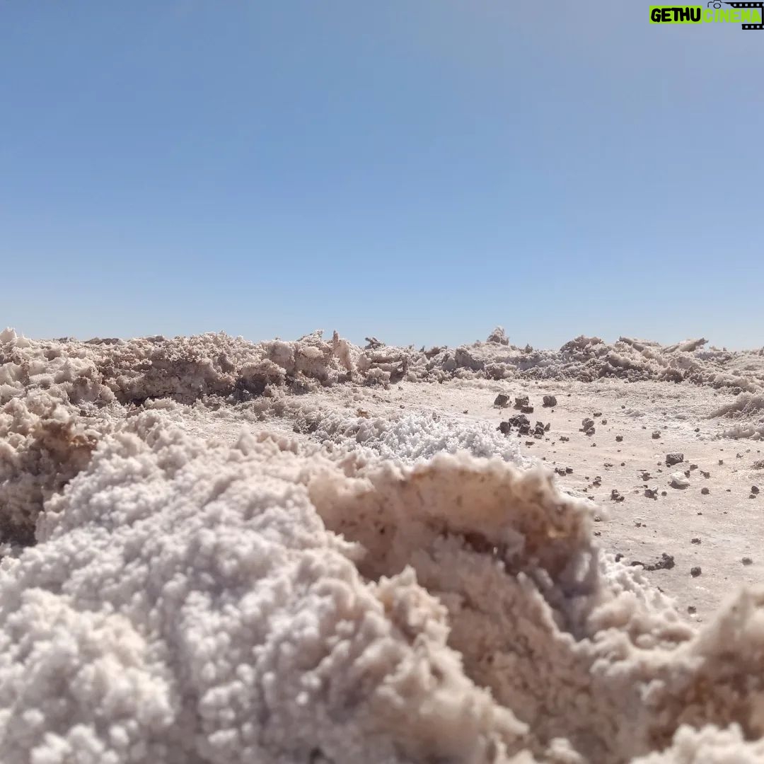 Rodrigo González Instagram - Hace 5 días en el árido desierto, trabajando. Ahora en la generosa tierra de la región de la Araucanía. Gracias teatro por conocer mi lindo Chile. #norte #surdechile #chile