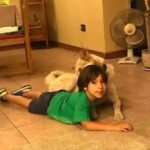 Rodrigo González Instagram - Toy medio pega o con estos reels saludines y nos vemos a la noche en @casa.comedia
