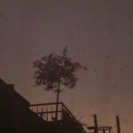 Rona Özkan Instagram – „Gute Nacht” sagte die Sonne vor dem Schlafengehen und gab dem Himmel einen Kuss, der ihn erröten ließ.