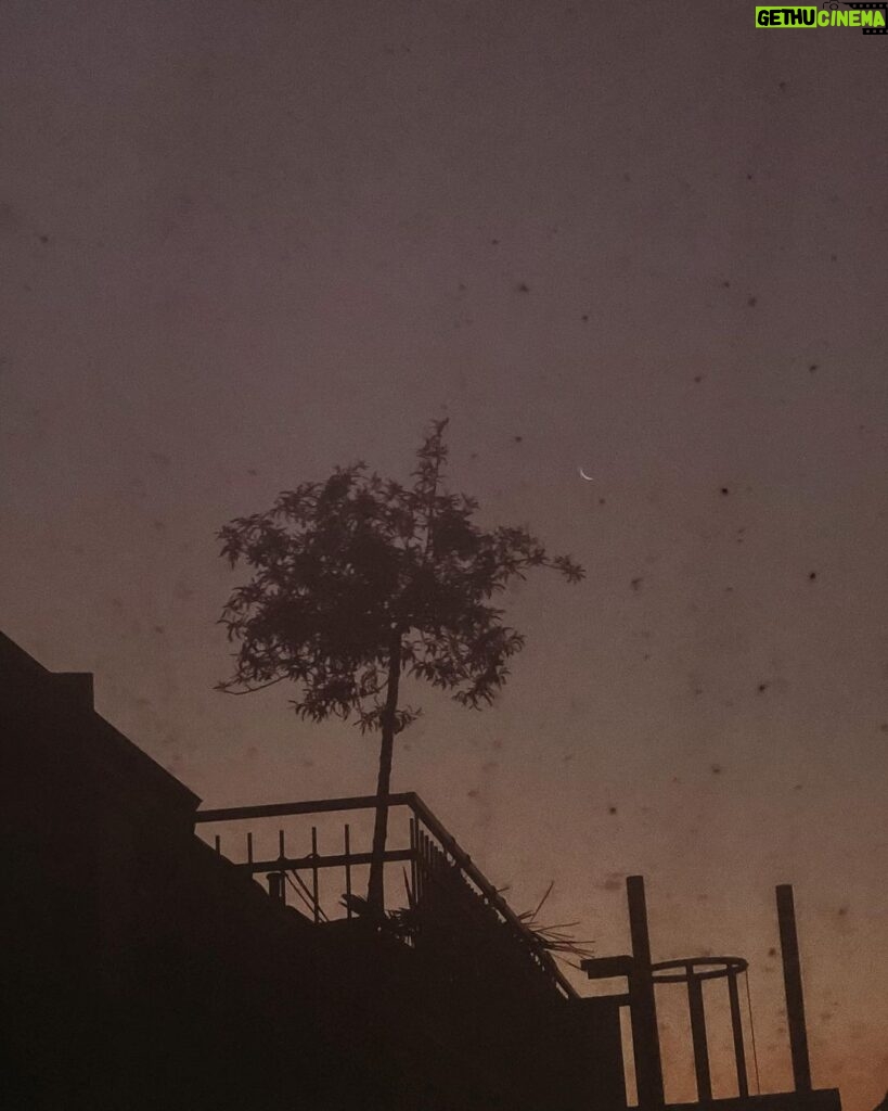 Rona Özkan Instagram - „Gute Nacht” sagte die Sonne vor dem Schlafengehen und gab dem Himmel einen Kuss, der ihn erröten ließ.