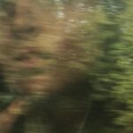 Rona Özkan Instagram – Irgendwo📍