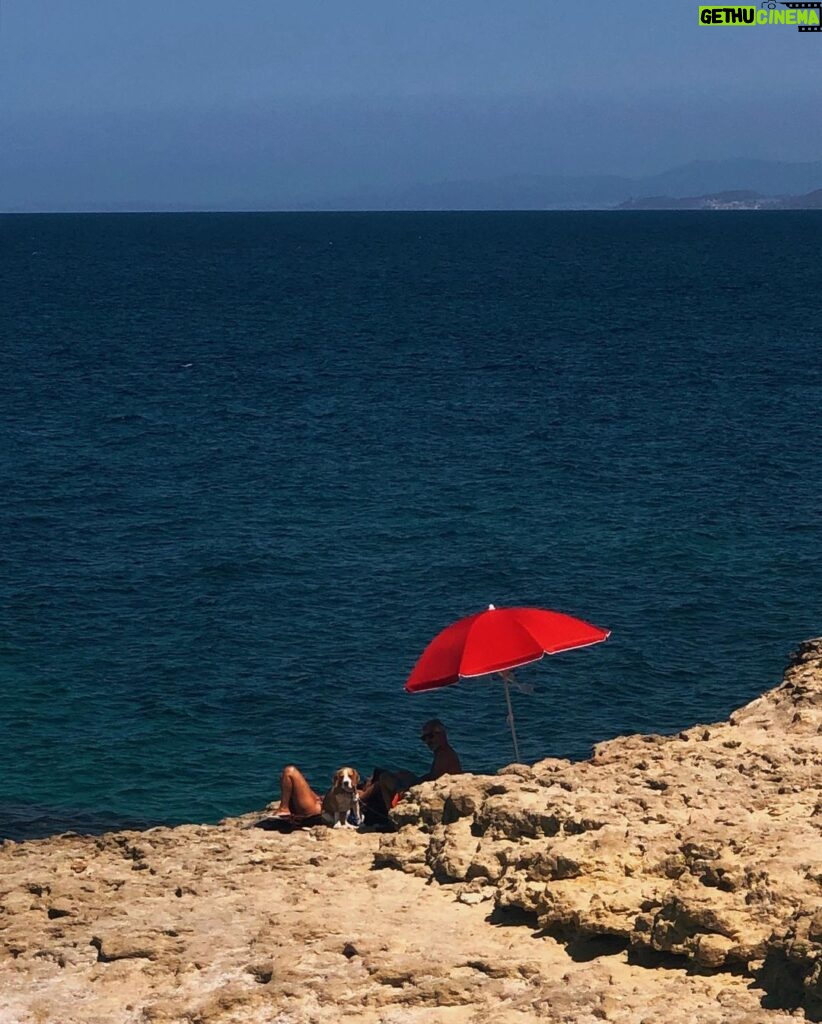 Rona Özkan Instagram - Sommer und Schirme ⛱️ (wer findet den Hund?)