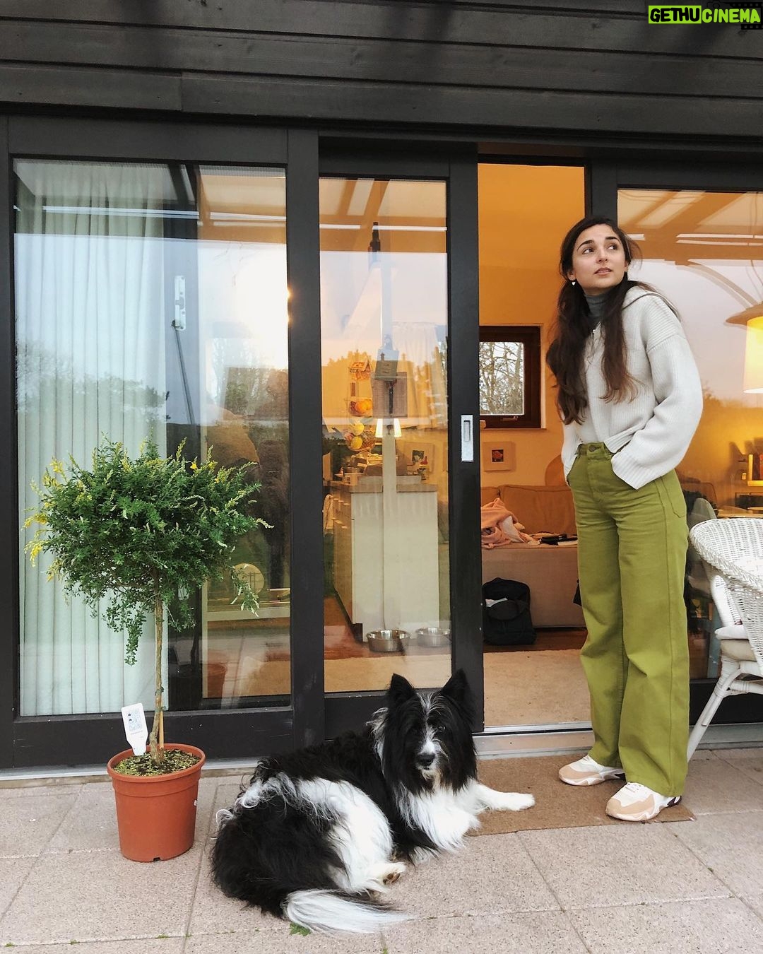 Rona Özkan - 2.6K Likes - Bäumchen. Kallie. Rona. 🌳🐶🙆🏻♀️