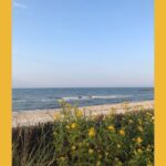 Rona Özkan Instagram – Se(e)hnsucht
