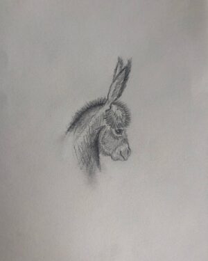 Rona Özkan Instagram - ✏️ für @annina.hellenthal