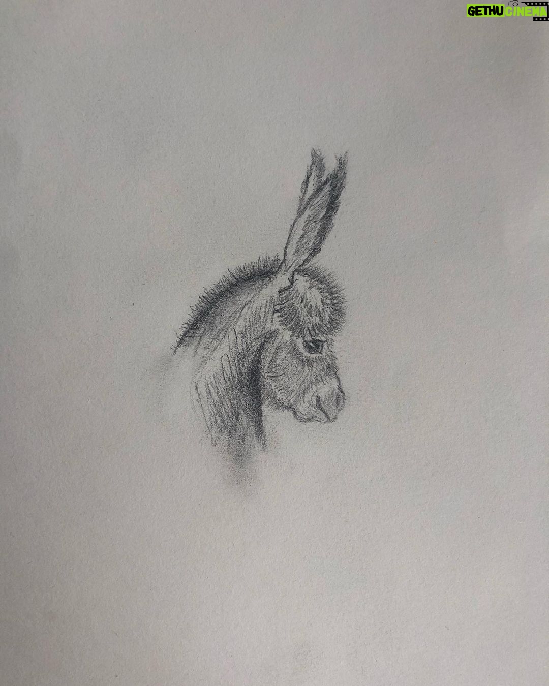 Rona Özkan - 1.9K Likes - ✏️ für @annina.hellenthal