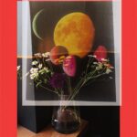 Rona Özkan Instagram – Planetenbild aus Zeitschrift meets Blumenvase im Café 🧩 #bildüberbild Hamburg, Germany