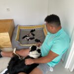 Ronaldo Instagram - Paçoca me deu 6 netinhos! ❤️❤️❤️❤️❤️❤️🐶🐶🐶🐶🐶🐶 Ibiza, Spain