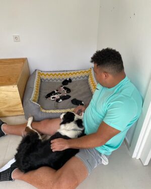 Ronaldo Instagram - Paçoca me deu 6 netinhos! ❤️❤️❤️❤️❤️❤️🐶🐶🐶🐶🐶🐶