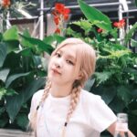 Rosé Instagram - nyc on camera