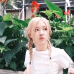 Rosé Instagram - nyc on camera