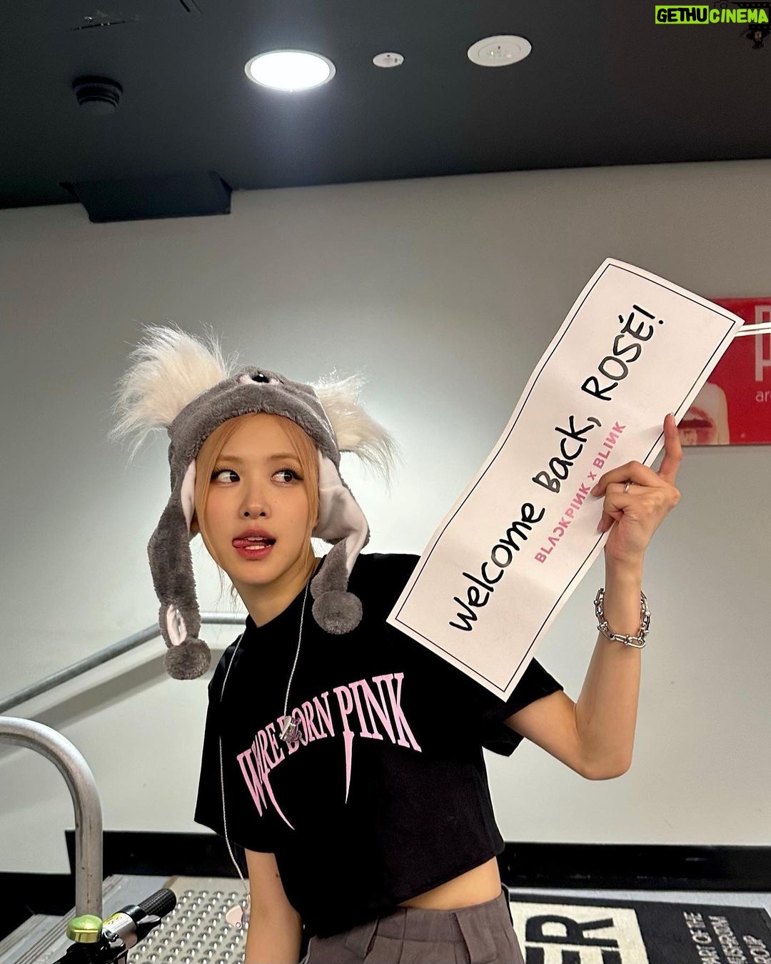 Rosé Instagram - This koala was welcomed home.. 🐨💞 Rod Laver Arena, Melbourne