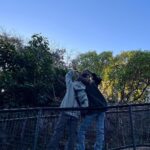 Rosé Instagram - 🐨 Sydney 나들이 🐨