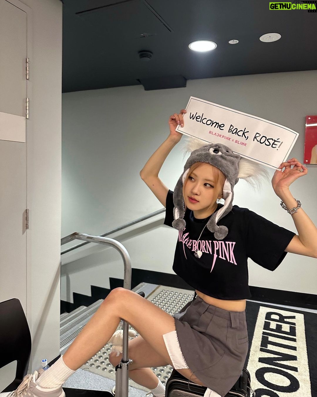 Rosé Instagram - This koala was welcomed home.. 🐨💞 Rod Laver Arena, Melbourne