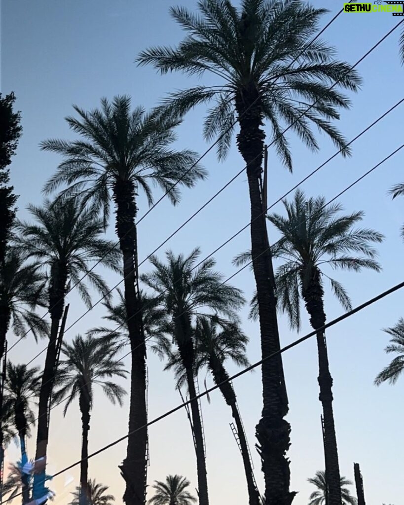 Rosé Instagram - chella we heree Coachella