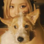 Rosé Instagram - two more nights