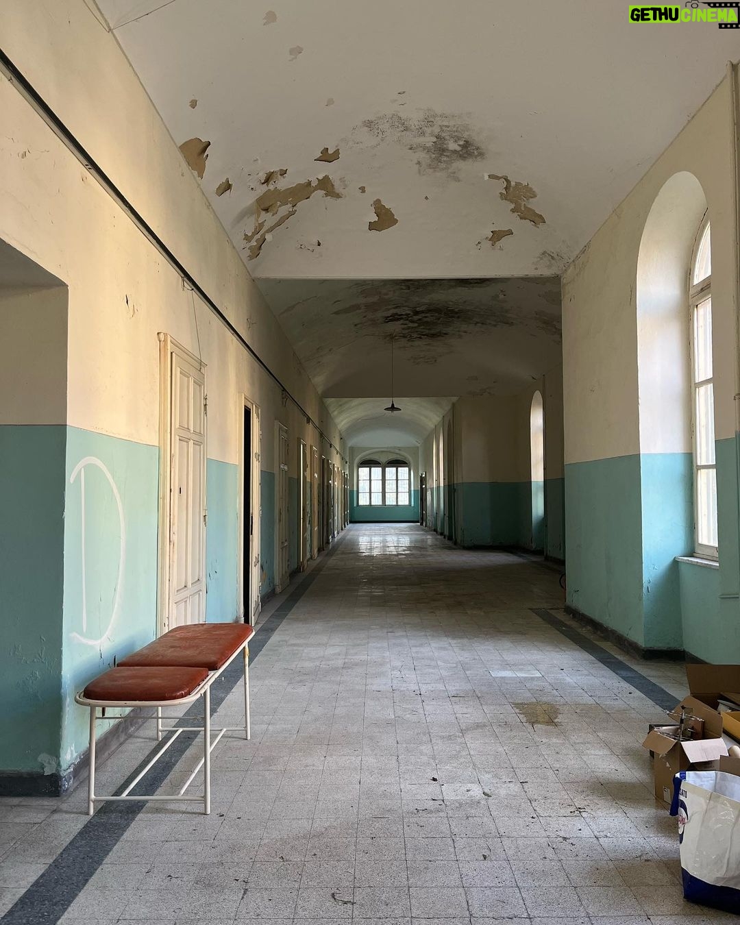 Rosa Diletta Rossi Instagram - Metti che cambino le regole… sai, sono tutti matti qui?! Torino