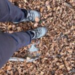 Rosa Diletta Rossi Instagram - Foliage 🍁 2011 monte Godi