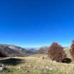 Rosa Diletta Rossi Instagram – Foliage 🍁 
2011 monte Godi