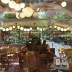 Rosa Diletta Rossi Instagram - Ischia Nostalgia di un tempo che mi piaceva Come le coppette di fragole, col gelato alla crema. Come i fiori che fioriscono un giorno solo. Come il tempo di un caffè.