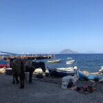 Rosa Diletta Rossi Instagram - Alicudi Capperi e scale Vista mare coi piedi a monte #alicudi #isolata #ammare