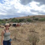 Rosa Diletta Rossi Instagram - Molise Terra di guerrieri e antichi suoni (Lo so faccio post da boomer a fine estate, ma a me piace così) #molise #sanniti #agnone Molise, Molise, Italy