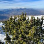 Rosa Diletta Rossi Instagram – 🏔️
In montagna non sono nata
Mi faceva paura e desiderio
Guardavo le vette con lo stupore dei bambini che col dito indicano la punta e dicono “voglio andare lì”.
In montagna non sono cresciuta
Avrei voluto avere ricordi di silenzi e salite
La mia montagna è arrivata da grande
Uno scarpone alla volta
Le vette fanno meno paura
La salita fa fatica, tanta.
Bella! Piena di meraviglia
Ora quando arrivo in vetta punto il dito e dico :
“Sono qui”
La mia bambina è salva, ride e si stupisce.
Auguro a voi tutti di trovare le vostre montagne!