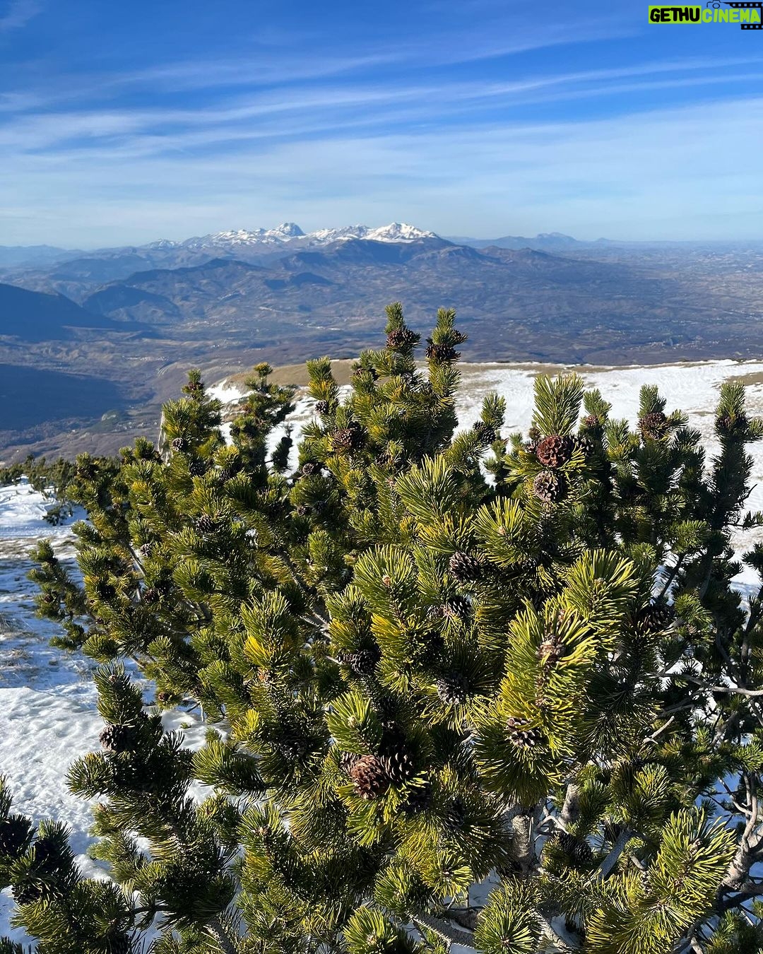 Rosa Diletta Rossi Instagram - 🏔️ In montagna non sono nata Mi faceva paura e desiderio Guardavo le vette con lo stupore dei bambini che col dito indicano la punta e dicono “voglio andare lì”. In montagna non sono cresciuta Avrei voluto avere ricordi di silenzi e salite La mia montagna è arrivata da grande Uno scarpone alla volta Le vette fanno meno paura La salita fa fatica, tanta. Bella! Piena di meraviglia Ora quando arrivo in vetta punto il dito e dico : “Sono qui” La mia bambina è salva, ride e si stupisce. Auguro a voi tutti di trovare le vostre montagne!