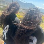 Rosalía Instagram – COACHELLA THANK YOU SO MUCHHHHHHHHH💞💞💞!!!!!!!! Coachella, California
