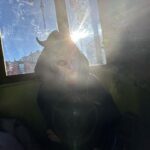Rosalía Instagram – Proposito del año: ultimo sigarrito del año. FELIZ 2024 CARISSS GRACIAS A TODOS X ESTAR AHÍ SIEMPRE❤️🔥